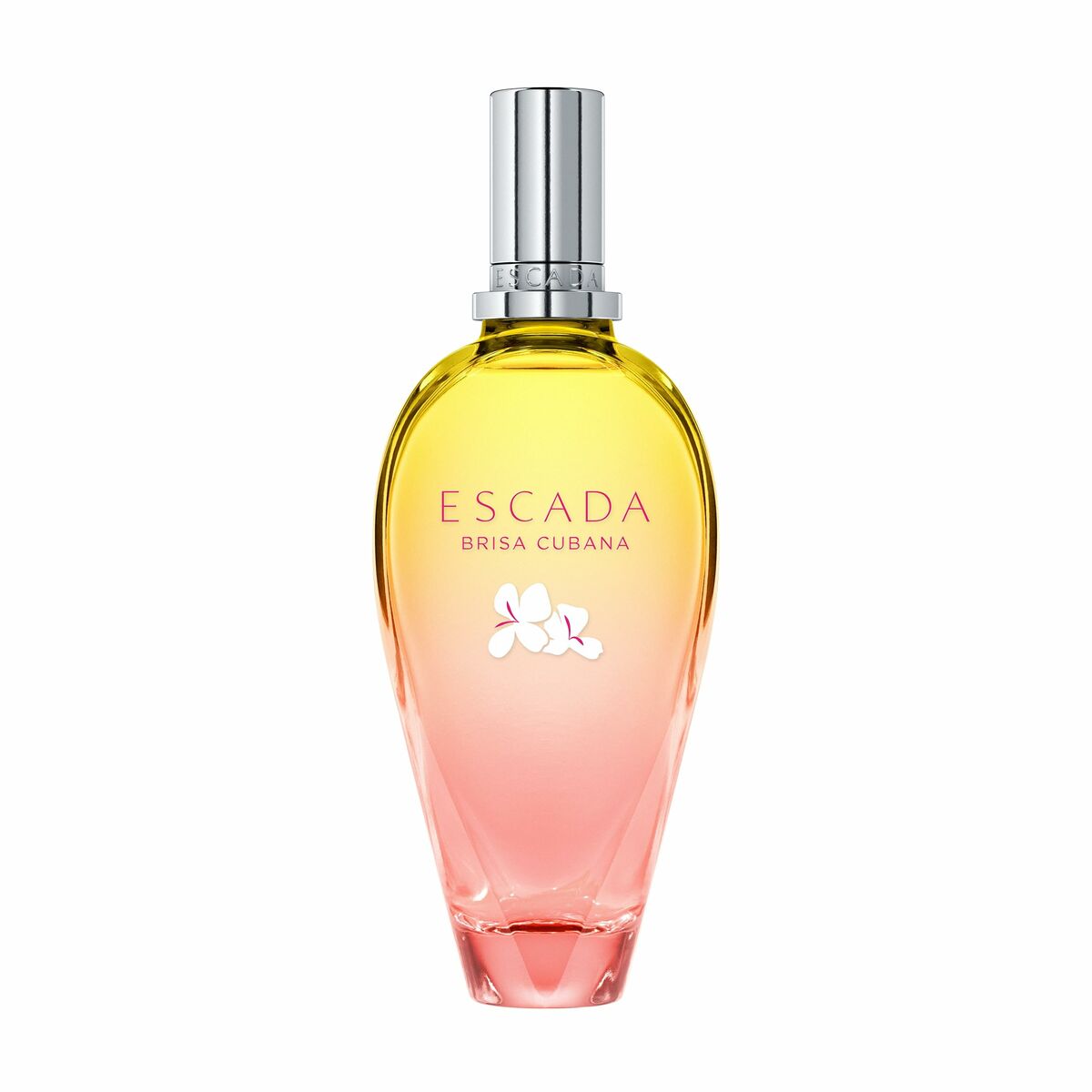 Escada